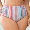Colorful Striped Ruched Swim Bottom